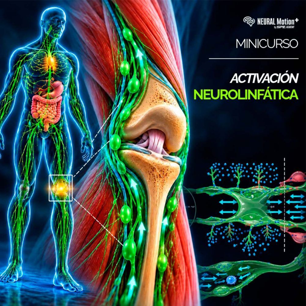 Minicurso: Activación Neurolinfática